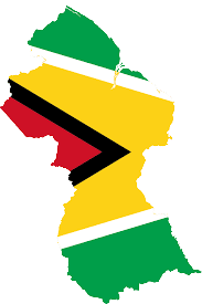 Guyana flag